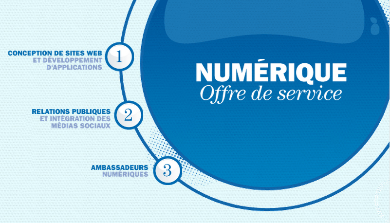 Offre de service numérique chez Mosaic